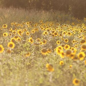 Do you want a custom raw hem/ custom distressing?